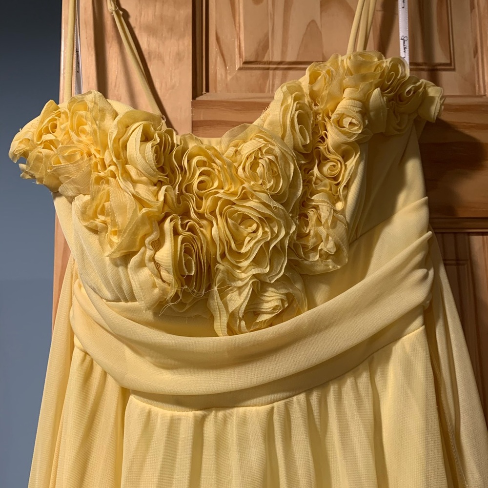 Long lady’s dress